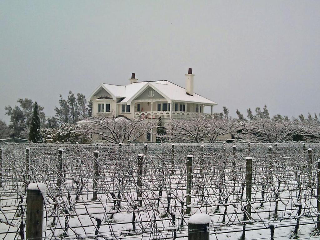 Vynfields Guest House Martinborough Exterior photo